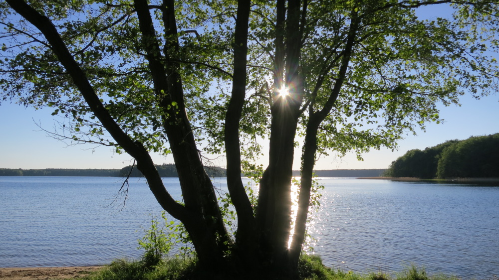 stechlinsee sonnenuntergang